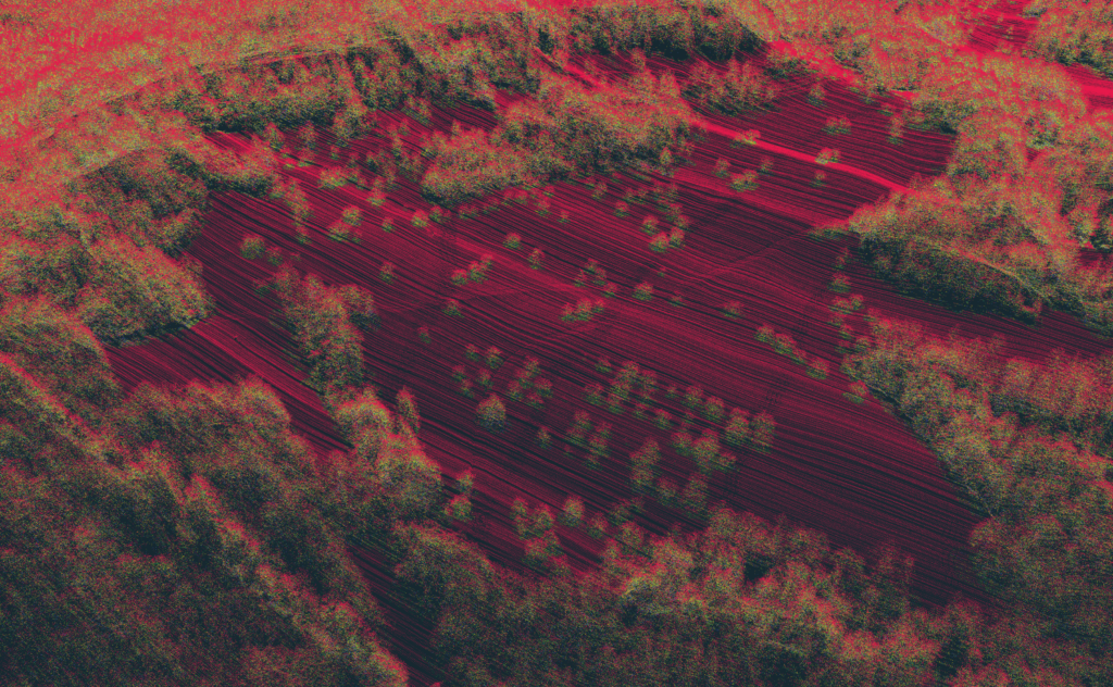Lidar data visualized in green and red