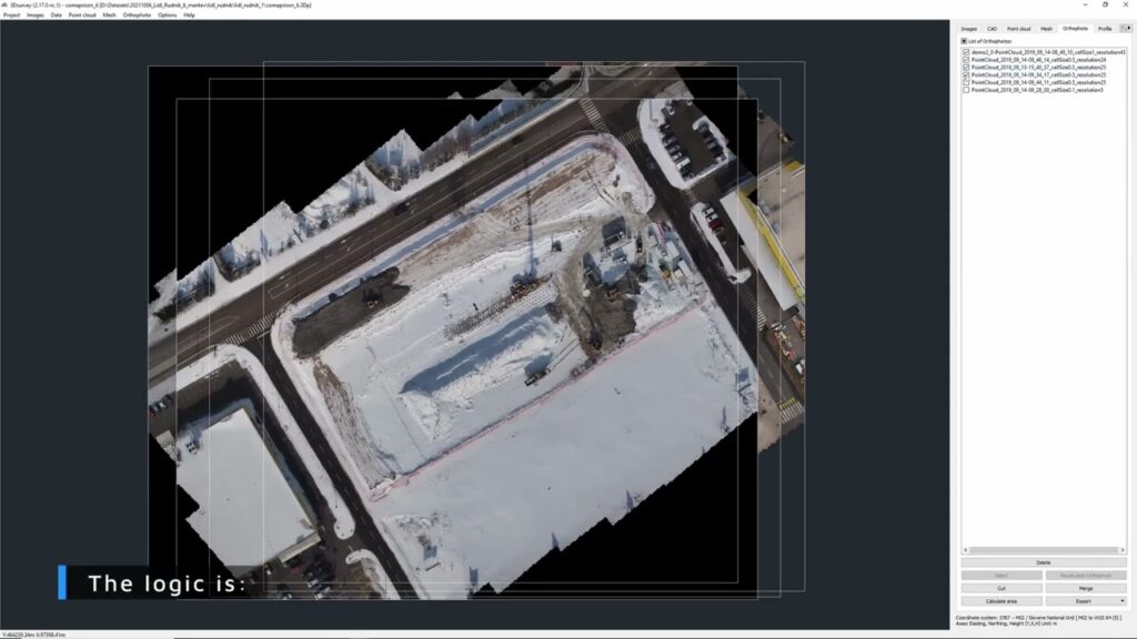 A screenshot of an orthophoto in 3Dsurvey software