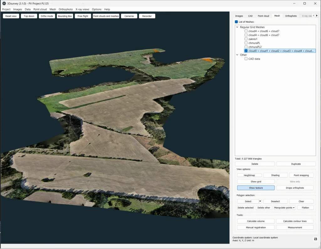 Regular grid mesh – DSM