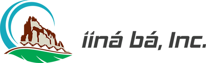 iina ba inc