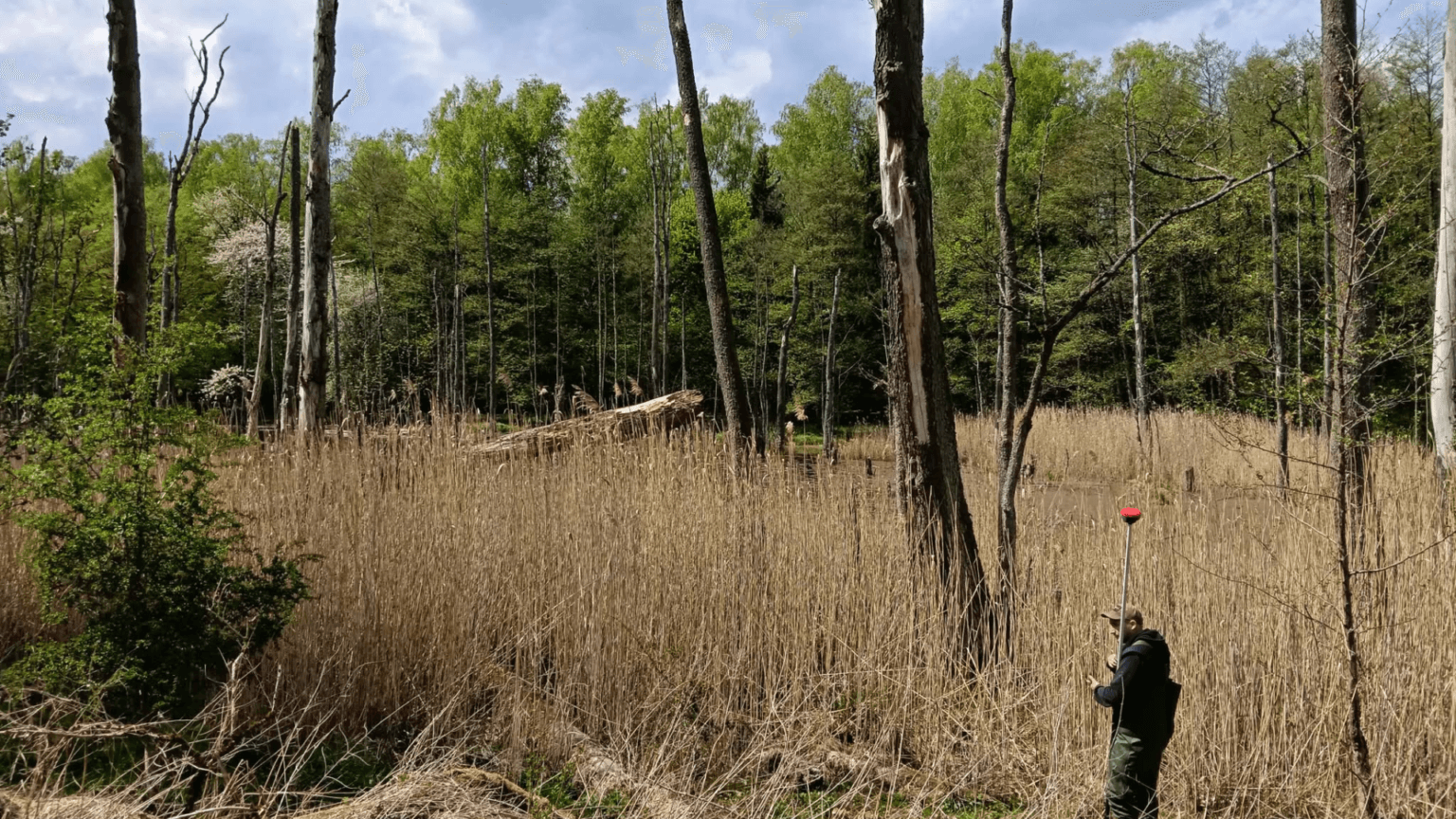 Topographical surveying for reservoir planning with the help of 3Dsurvey software.