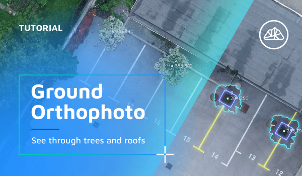 Ground_Orthophoto