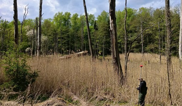 Topographical surveying for reservoir planning with the help of 3Dsurvey software.